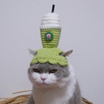 抹茶フラペチーノ 猫用帽子  