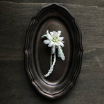 Edelweiss brooch