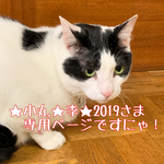 ★小丸★李★2019さま専用ページ