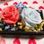 ブリザードフラワーbox