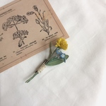 たんぽぽと勿忘草のブローチ⚘