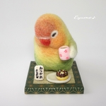 今日もお疲れ様✨【ボタンインコ】