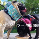 オーダー🌸ネッククーラー 