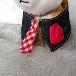 新作補充しました😺愛猫ちゃん用首輪!デニムの首飾り（赤いネクタイ👔金の鈴と赤いバラ🌹）