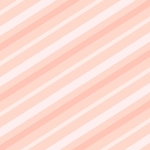 専用