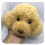 トイプードル