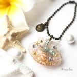 貝殻のアクアリウムキーホルダー
