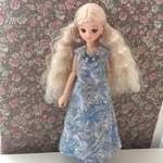 リカちゃん ワンピース  アクセサリー セット 青