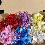 パーフェクト☆6色1Boxハーバリウムボールペン花材レジン素材！