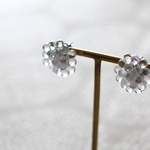 drops earrings (clear)