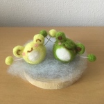 コロンとハッピーカエル