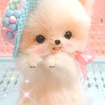 A様専用！オーダーの BABYわんちゃん☆