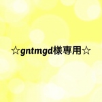☆gntmgd様専用ページ☆