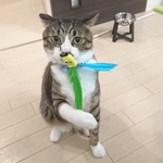 【うしさん】専用ページ　とりがいっぱい！おもちゃの詰め合わせ