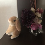 羊毛フェルト ロップイヤー うさぎ