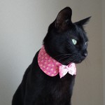 小花ピンク レースリボン   Sサイズ