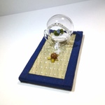 ウミガメさんの大脱走