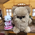 しゅーるちゃん④
