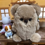 しゅーるちゃん⑤