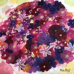 ♡160枚以上♡作家様必見♡とってもお買い得な押し花セット♡