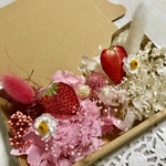 押しイチゴと花かんざしハーバリウム 花材ドライフラワー  花材セット