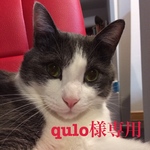 qulo様専用
