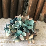 限定珍色紫陽花小分け❣️ハーバリウム花材プリザーブドフラワーレジンアクセサリー