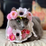 【現在庫限り 花冠&ポンチョ】アネモネおしゃれセット 