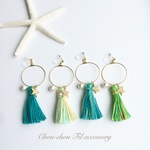 lucky star&tassel hoop earring