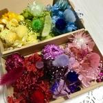 HanaHanaHana＊ハーバリウム 花材ドライフラワー  花材セット