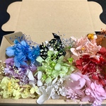 全色揃う！ハーバリウムボールペン花材＊ハーバリウム花材＊ドライフラワー 花材セット