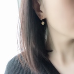 Hoop Earring スワロフスキークリスタルオーロラ