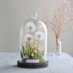 BotanicalGlassdome たんぽぽ d