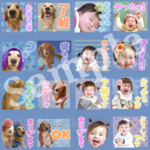 k5963194y様専用★LINEスタンプ　16個