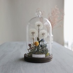  BotanicalGlassdome たんぽぽ e