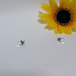 スワロフスキーのマグピ《クリスタル》