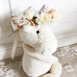 小さなクラウン