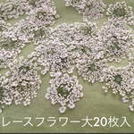 ＃20 押し花花材【レースフラワー大・20枚】