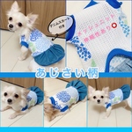 映える📸💙激カワあじさい柄ウエア💙💙