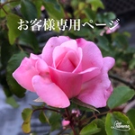 kissntmom様専用ページ
