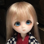  parabox プチフェアリーカスタム 07