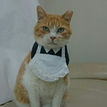 喫茶店店員コスプレ