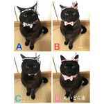 豆絞りハチマキ付き猫ちゃんの首輪