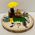 紫陽花とねこ