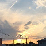 C様（ご購入用）専用ページ
