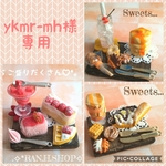 ykmr-mh様　専用(*´˘`*)ミニチュア