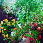 asransoraさまオーダー  Wreath ***bobbin RAMUNE piccolo ×２個