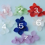 選べる紫陽花アナベル