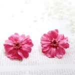 ジニア★お花のピアス♥プリザブドフラワー