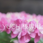 yuchi様専用 